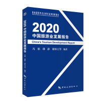 2020中国旅游业发展报告