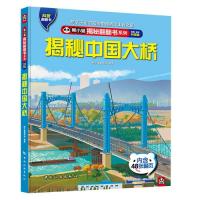 揭秘中国大桥